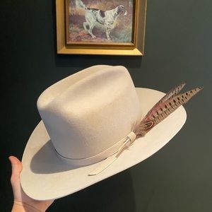 Vintage Stetson Stallion Hat
